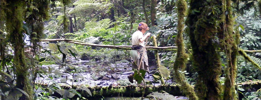 Bwindi Impenetrable Forest, Uganda. Hiking with Diary of a Muzungu.