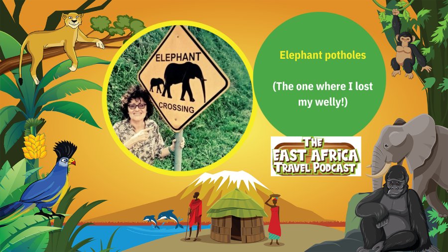 Episode 17 - Elephant potholes (the one where I lost my welly!) East Africa Travel Podcast by Charlotte Beauvoisin, Diary of a Muzungu