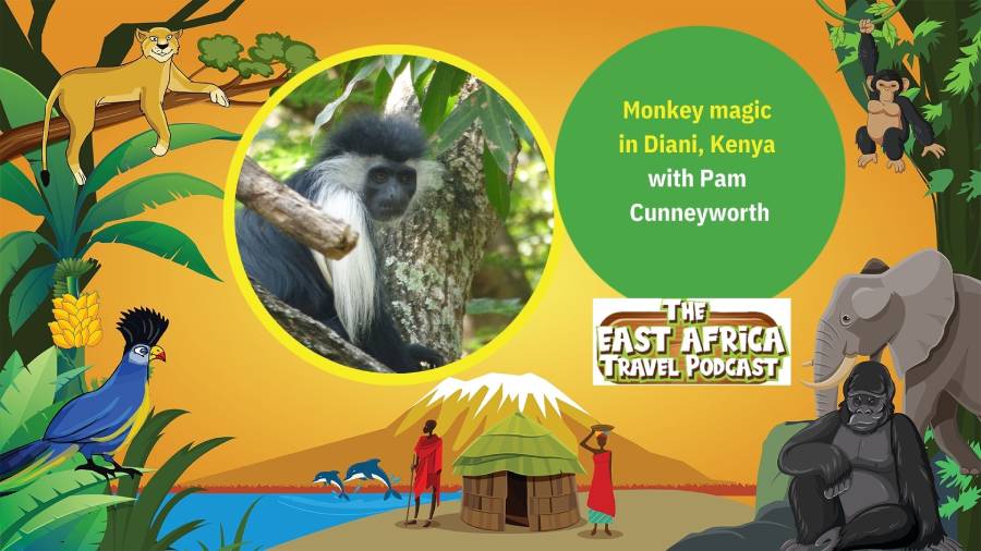 Monkey magic in Diani, Kenya with Pam Cunneyworth. The East Africa Travel Podcast by Charlotte Beauvoisin, Diary of a Muzungu