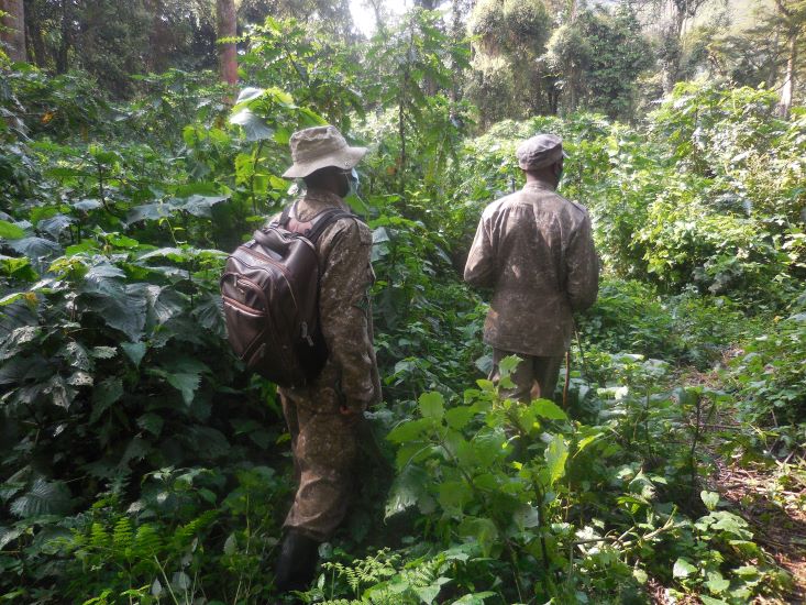 Uganda Wildlife Authority gorilla trackers, Bwindi. PHOTO Charlotte Beauvoisin Diary of a Muzungu